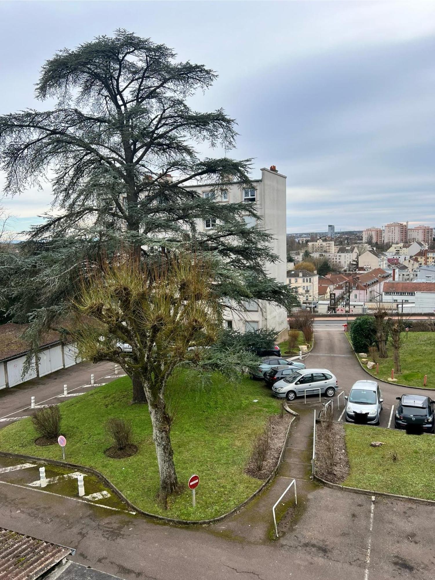 Le Bellevue - T3 - Gare & Les Jardins Darcy - Parking Free Apartman Dijon Kültér fotó