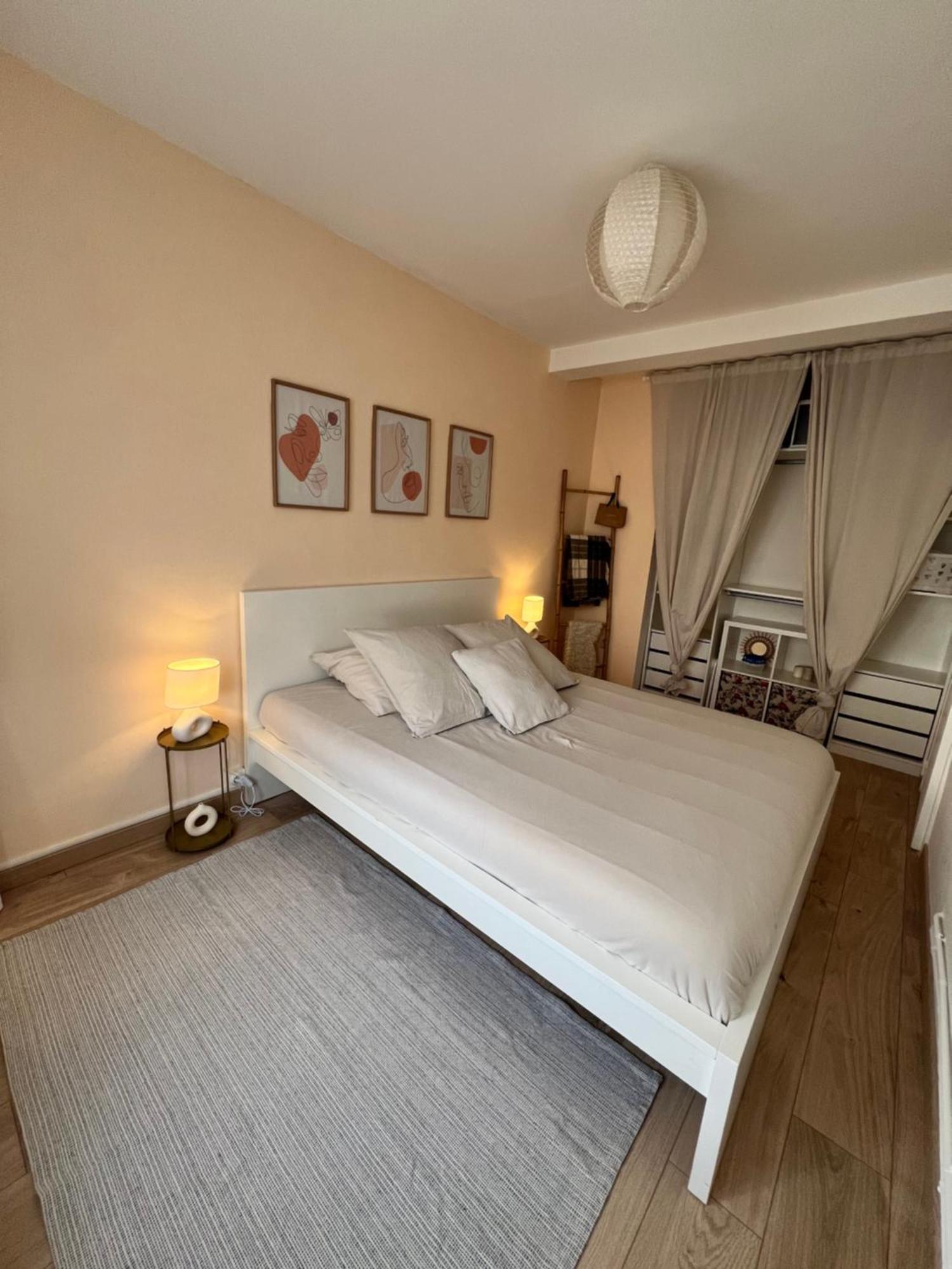 Le Bellevue - T3 - Gare & Les Jardins Darcy - Parking Free Apartman Dijon Kültér fotó